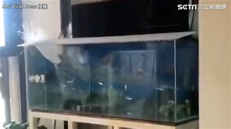 風水凸透鏡 魚缸 地震